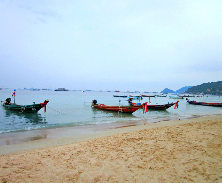 Koh Tao Boats